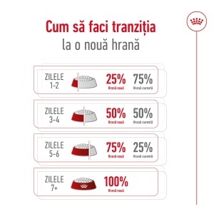 Royal Canin Mini Adult 8+, hrana uscata caine, 2KG - Img 4
