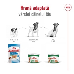 Royal Canin Mini Adult, hrana umeda caine (pate), 195G - Img 5