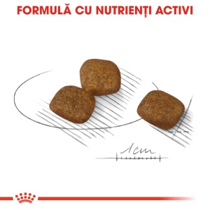 Royal Canin Mini Coat Care Adult, hrana uscata caine, blana sanatoasa si lucioasa, 3KG - Img 4