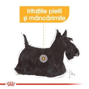 Royal Canin Mini Dermacomfort, hrana uscata caine, prevenirea iritatiilor pielii, 3KG - Img 3