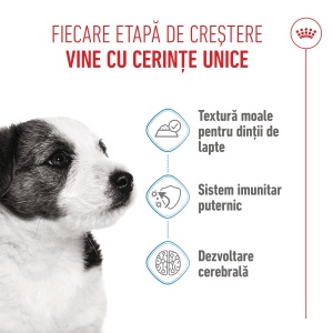 Royal Canin Mini Puppy, hrana umeda caine junior (in sos), 12 x 85G - Img 8