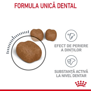 Royal Canin Oral Care Adult, hrana uscata pisica, reducerea formarii tartrului, 1.5KG - Img 4