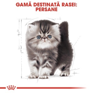 Royal Canin Persian Kitten, hrana uscata pisica junior, 400G - Img 3