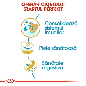 Royal Canin Pug Puppy, hrana uscata caine junior, 1.5KG - Img 5