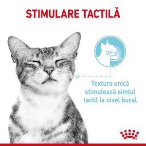 Royal Canin Sensory Feel, hrana umeda pisici, stimularea simtului tactil (in sos), 12 x 85G - Img 6