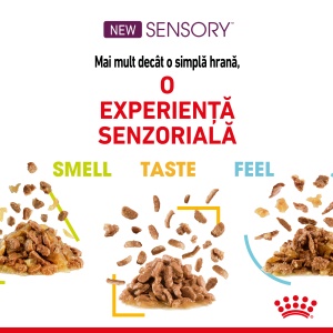 Royal Canin Sensory, hrana umeda pisici, stimularea simturilor (in sos), 12 x 85G - Img 6