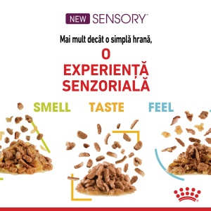 Royal Canin Sensory Taste, hrana umeda pisici, stimularea gustului (in sos), 12 x 85G - Img 2