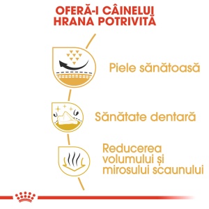 Royal Canin Shih Tzu, Adult hrana uscata caine, 1.5KG - Img 5