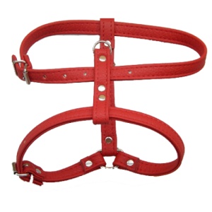 Ham Caini Enjoy Piele Eco, 12 mm