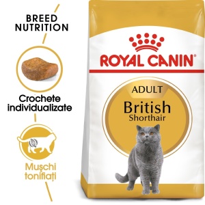 Royal Canin British Shorthair Adult, hrana uscata pisica, 10KG