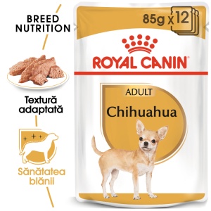 Royal Canin Chihuahua Adult, hrana umeda caine (pate), 12 x 85 g