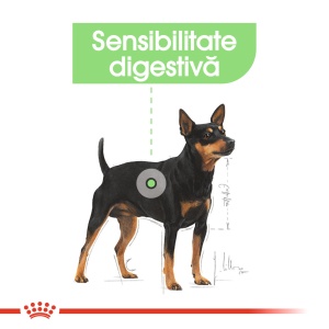 Royal Canin Digestive Care Adult, hrana umeda caine, confort digestiv (pate), 12 x 85G - Img 3