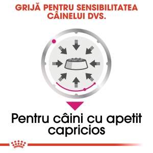Royal Canin Exigent Adult, hrana umeda caine, apetit capricios (pate), 12 x 85G - Img 6