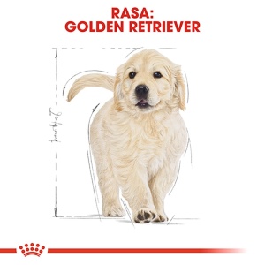 Royal Canin Golden Retriever Puppy, hrana uscata caine junior, 12KG - Img 3