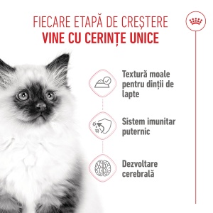 Royal Canin Kitten, hrana umeda pisica junior (pate), 12 x 85G - Img 9