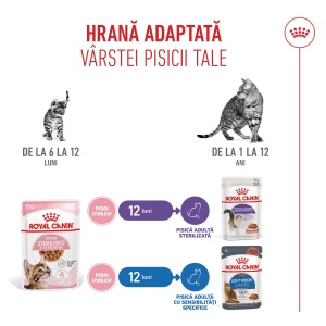 Royal Canin Kitten Sterilised, hrana umeda pisica sterilizata junior (in sos), 12 x 85G - Img 7