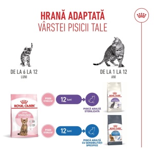 Royal Canin Kitten Sterilised, hrana uscata pisica sterilizata junior, 2KG - Img 6