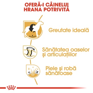 Royal Canin Labrador Adult, hrana uscata caine, 3KG - Img 5