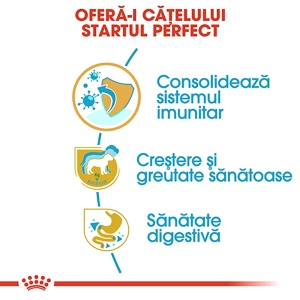 Royal Canin Labrador Puppy, hrana uscata caine junior, 12KG - Img 5