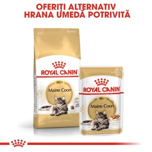 Royal Canin Maine Coon Adult, hrana uscata pisica, 10KG - Img 4