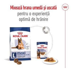 Royal Canin Maxi Ageing 8+, hrana uscata caine senior, 15KG - Img 8