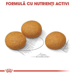 Royal Canin Maxi Dermacomfort, hrana uscata caine, prevenirea iritatiilor pielii, 12KG - Img 4