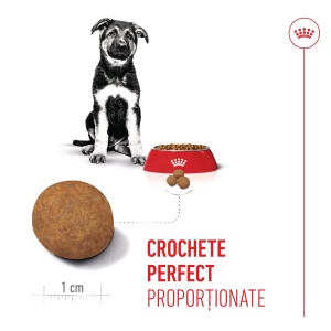 Royal Canin Maxi Puppy, hrana uscata caine junior, 15KG - Img 5