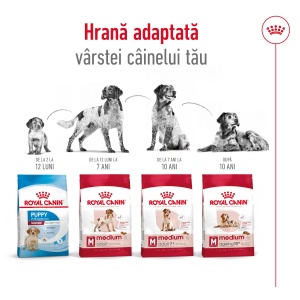 Royal Canin Medium Adult, hrana uscata caine, 12KG - Img 6