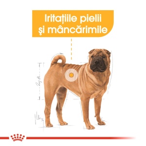 Royal Canin Medium Dermacomfort, hrana uscata caine, prevenirea iritatiilor pielii, 12KG - Img 3