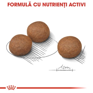 Royal Canin Medium Digestive Care, hrana uscata caine, confort digestiv, 12KG - Img 4