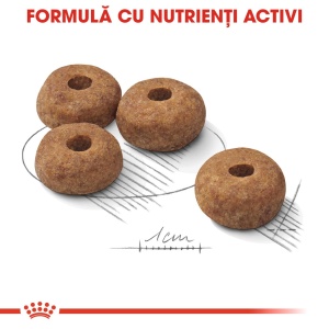 Royal Canin Medium Sterilised Adult, hrana uscata caine sterilizat, 12KG - Img 4