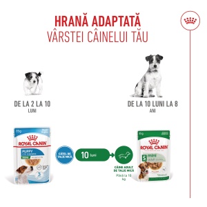 Royal Canin Mini Puppy, hrana umeda caine junior (in sos), 12 x 85G - Img 5