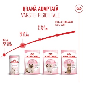 Royal Canin Mother & BabyCat, hrana uscata pisica, mama si puiul, 2KG - Img 6