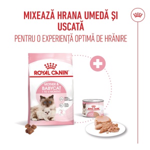 Royal Canin Mother & BabyCat, hrana uscata pisica, mama si puiul, 400G - Img 7