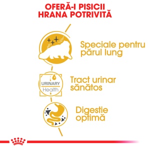 Royal Canin Persian Adult, hrana umeda pisica (pate), 12 x 85G - Img 7