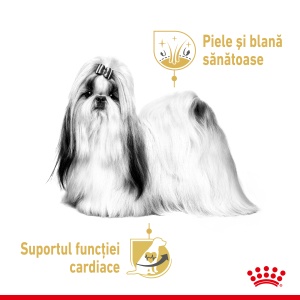 Royal Canin Shih Tzu Adult, hrana umeda caine (pate), 12 x 85G - Img 3
