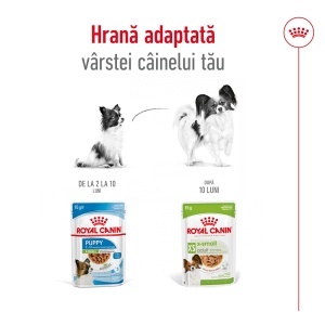 Royal Canin X-Small Adult, hrana umeda caine (in sos), 12 x 85G - Img 6