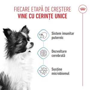 Royal Canin X-Small Puppy, hrana uscata caine junior, 1.5KG - Img 3