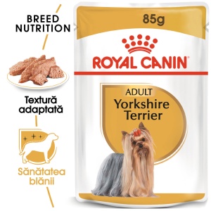 Royal Canin Yorkshire Terrier Adult, hrana umeda caine (pate), 12 x 85 g - Img 6