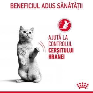 Royal Canin Appetite Control Care, hrana umeda pisici, adult sterilizat, reglarea apetitului, (in sos), 12 x 85G - Img 6