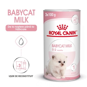 Royal Canin BabyCat Milk ,inlocuitor lapte matern pisica, 300G
