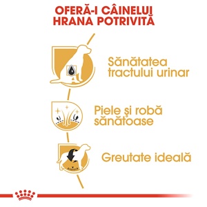 Royal Canin Bichon Frise Adult, hrana uscata caine, 1.5KG - Img 7