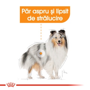 Royal Canin Coat Care Adult, hrana umeda caine, blana sanatoasa si lucioasa (pate), 12 x 85G - Img 2