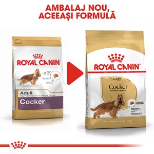 Royal Canin Cocker Adult, hrana uscata caine, 3KG - Img 6