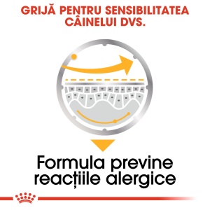 Royal Canin Dermacomfort Adult, hrana umeda caine, prevenirea iritatiilor pielii (pate), 12 x 85G - Img 6