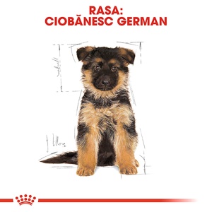 Royal Canin German Shepherd Puppy, hrana uscata caine junior Ciobanesc German, 3KG - Img 4