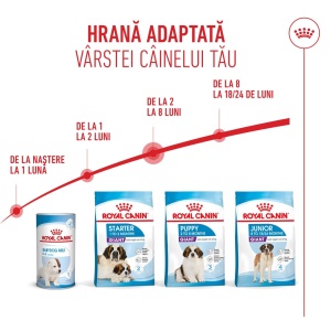 Royal Canin Giant Puppy, hrana uscata caine junior etapa 1 de crestere, 3.5KG - Img 6