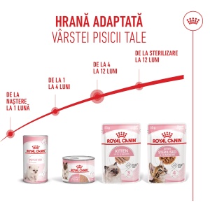 Royal Canin Kitten, hrana umeda pisica junior (pate), 12 x 85G - Img 6