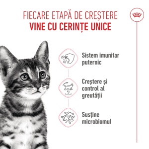 Royal Canin Kitten Sterilised, hrana uscata pisica sterilizata junior, 400G - Img 9