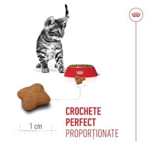 Royal Canin Kitten Sterilised, hrana uscata pisica sterilizata junior, 2KG - Img 3